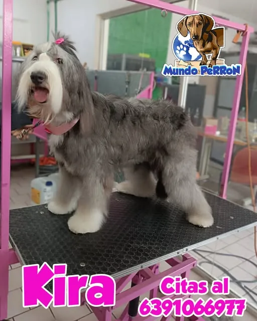 Kira después de su estética, foto de Mundo Perron